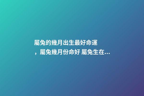 屬兔的幾月出生最好命運，屬兔幾月份命好 屬兔生在幾月份最好，屬兔幾月出生最好命運-第1張-觀點-玄機派
